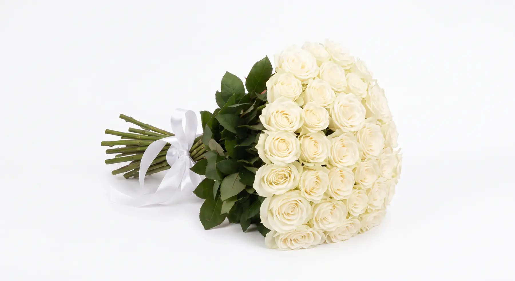 Pure White