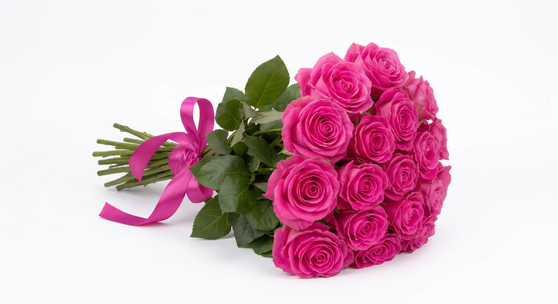 Vibrant Pink